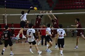 欧洲之翼航空推出多特蒙德足球俱乐部主题涂装。